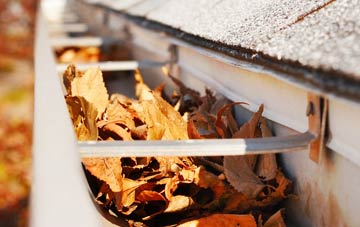 Tatenhill Common gutter cleaning companies